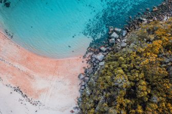 Sydney coastline from the air