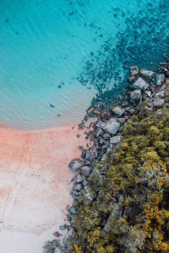 Sydney coastline from the air