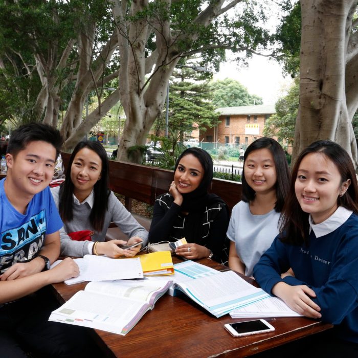 Students studying on campus