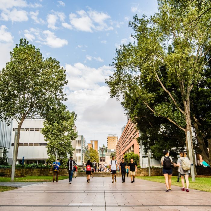 UNSW main campus walkway